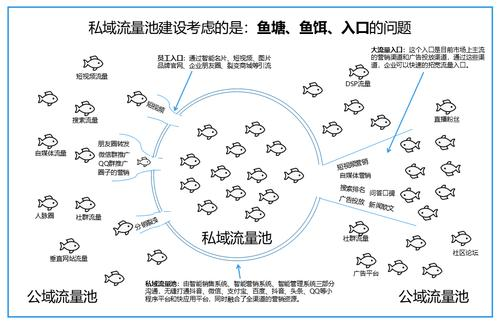 什麼(me)叫(jiào)私域流量直播1