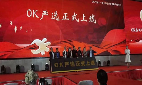 OK嚴選：社區團購轉型私域社群團購模式案例