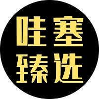 哇塞臻選logo