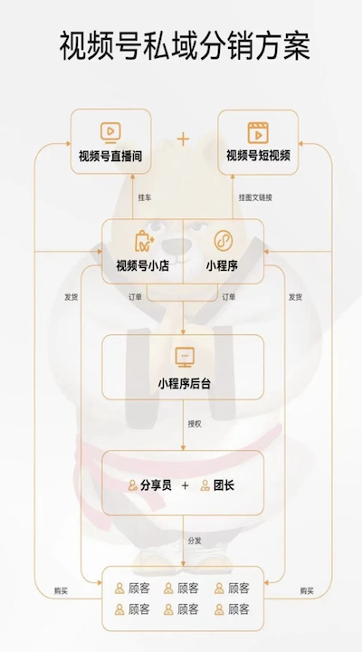 大師熊系統更新：視頻号對(duì)接+跨境合規+團店自提6